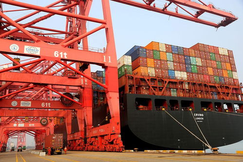 一文读懂丨疫情影响下的首份进出口季度数据