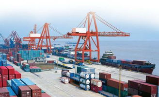 前5月进出口延续“双升”势头，一般贸易占比近六成凸显结构优化